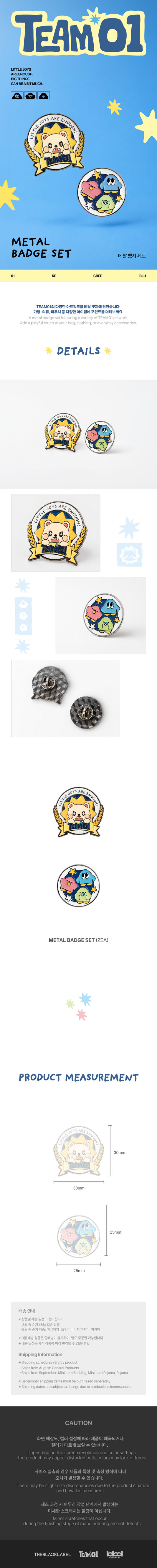 TEAM01 Official MD : METAL BADGE SET