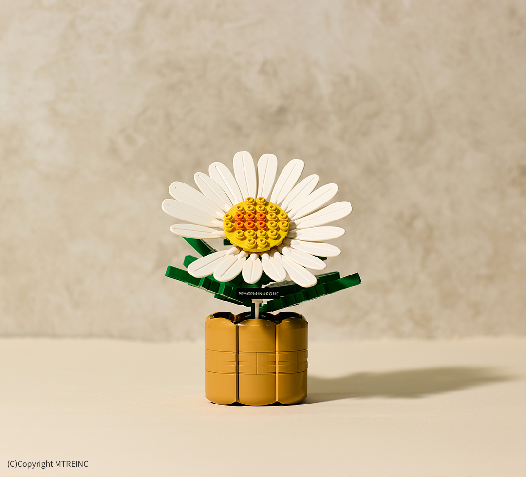 OXFORD x PEACEMINUSONE 818 BLOOM