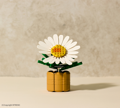 OXFORD x PEACEMINUSONE 818 BLOOM