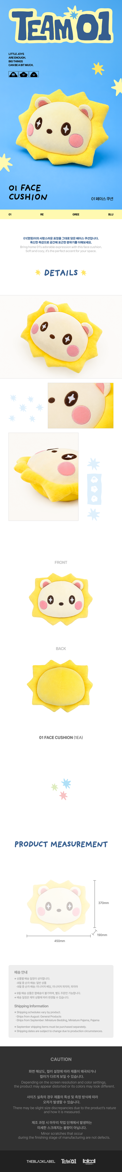 TEAM01 Official MD : 01 FACE CUSHION